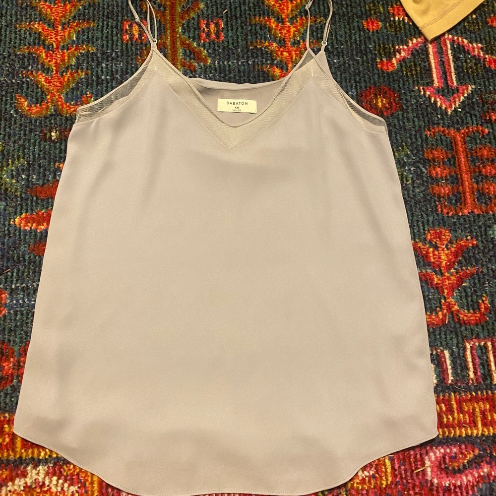 Babaton(Aritzia) chiffon cami